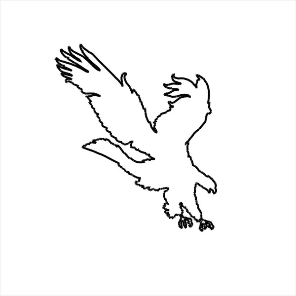 Desenho Desenho Vetorial Uma Águia Pronta Para Atacar —  Vetores de Stock