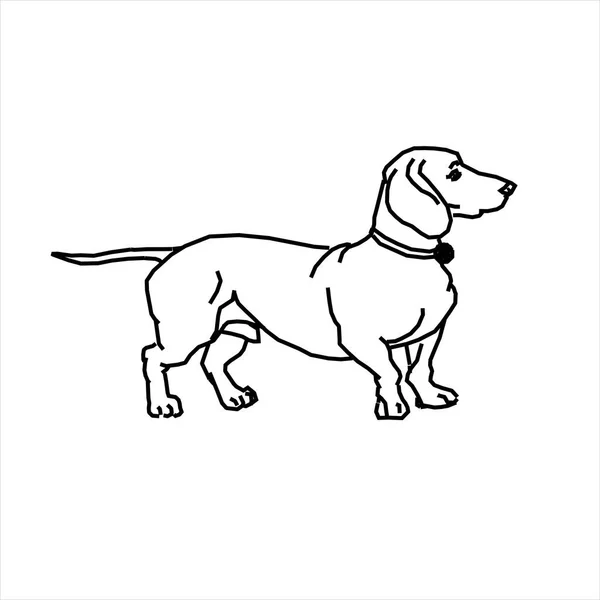 Bir Köpeğin Kısa Uzun Bir Çiziminin Vektör Tasarımı — Stok Vektör