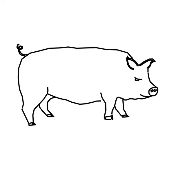 Vector Design Sketch Pig — Stock Vector