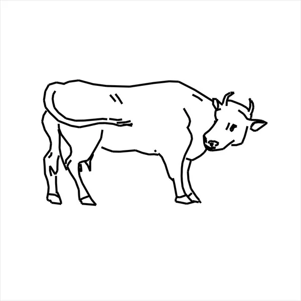 Dibujo Diseño Vectorial Una Vaca Mirando Hacia Atrás — Vector de stock