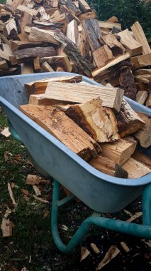 Kesilmiş yakacak odunlu el arabası.