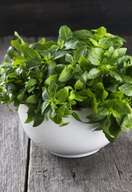 Koyu ahşap arka plan üzerinde beyaz bir kase içinde fesleğen