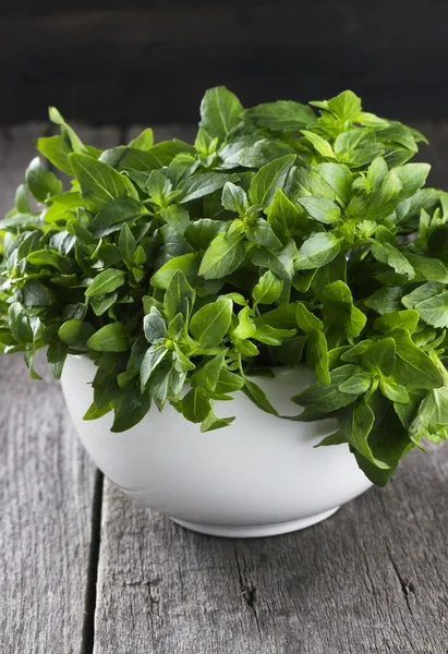 Koyu ahşap arka plan üzerinde beyaz bir kase içinde fesleğen