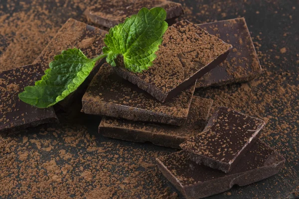 Pieces of dark chocolate, mint and cocoa powder