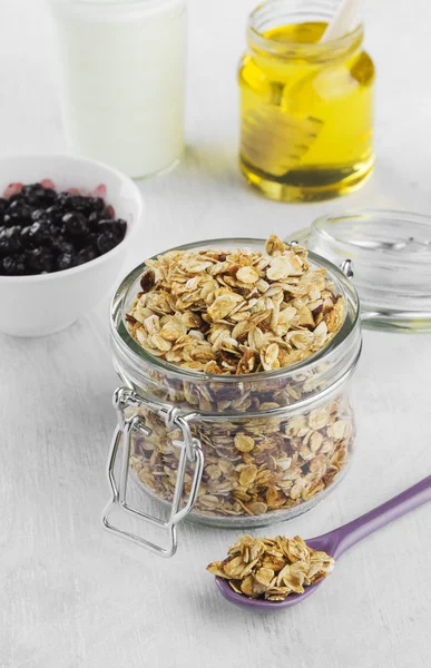Kahvaltı: granola, yoğurt, bal, Böğürtlenli beyaz bir backgrou üzerinde