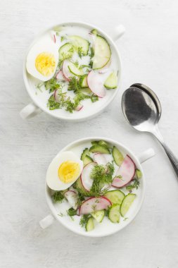 Geleneksel Rus yaz soğuk çorba - Bahçe turp, salatalık, kefir (yoğurt), beyaz bir arka plan üzerinde rezene ile okroshka