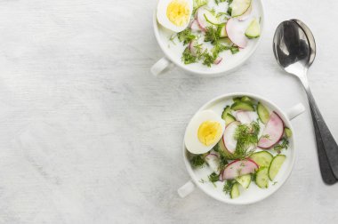 Geleneksel Rus yaz soğuk çorba - Bahçe radi ile okroshka