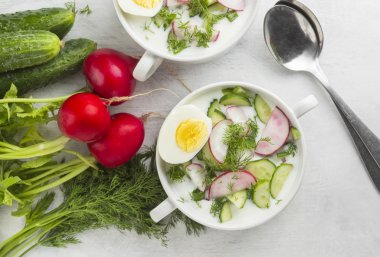 Geleneksel Rus yaz soğuk çorba - Bahçe radi ile okroshka