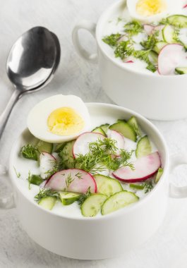 Geleneksel Rus yaz soğuk çorba - Bahçe radi ile okroshka