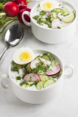 Geleneksel Rus yaz soğuk çorba - Bahçe radi ile okroshka