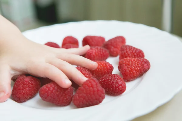 Рука тянется за ягодами — стоковое фото