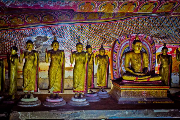Çok güzel Buda — Stok fotoğraf