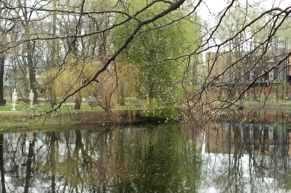 Blick auf einen Teich durch einen Baum — Stockfoto