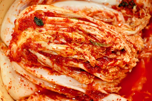 Кимчи, соленая капуста корейского стиля Стоковое Фото