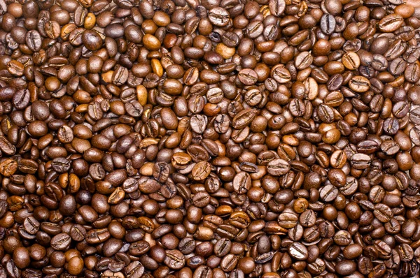 Roasted coffee background — Stock Photo, Image