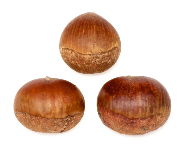 Chestnuts over white — Stock Photo, Image