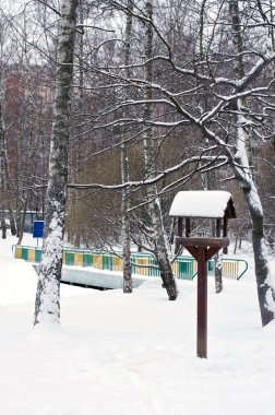Kuş evi ve kış bidge