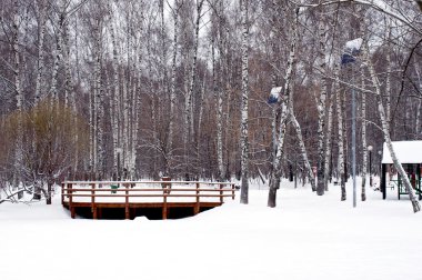 Donmuş nehir ağaç ile gelen Ahşap korkuluk