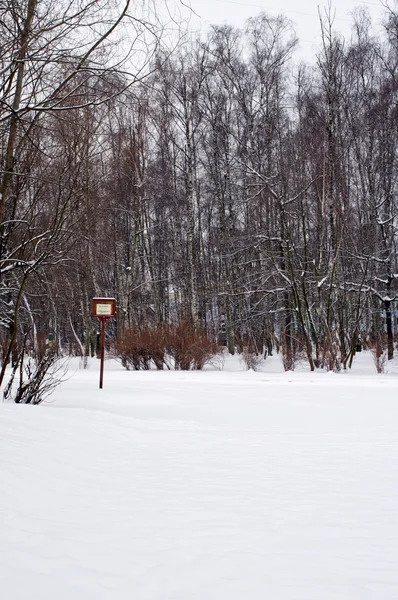 Placa de madera en un campo de nieve — Foto de Stock