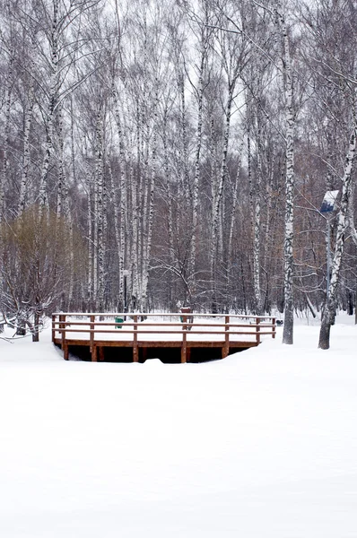 Vista a las barandillas de madera del río congelado vertical — Foto de Stock