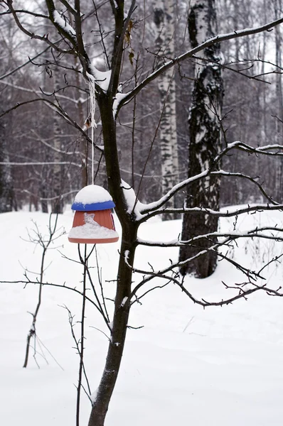 Casa de los pájaros de arcilla en invierno — Foto de Stock