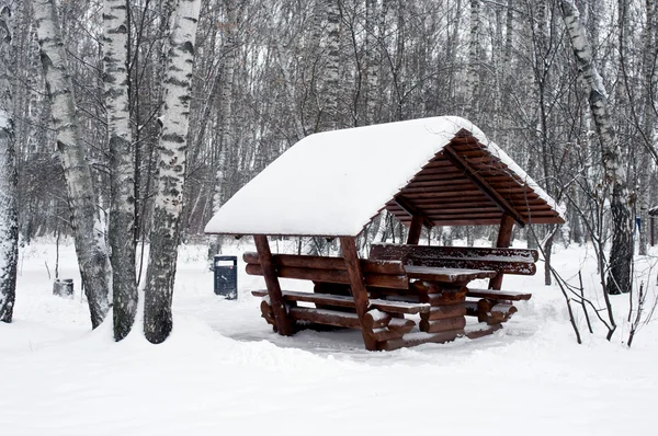 Alkoof bedekt met sneeuw horizontale — Stockfoto