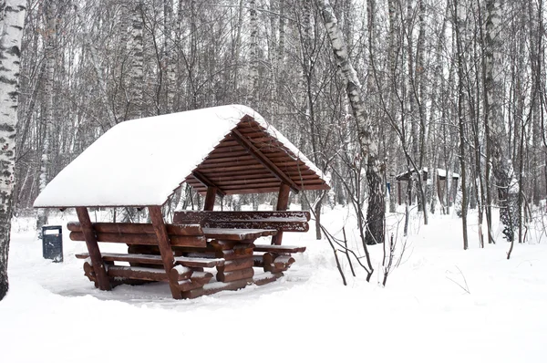 Arbor covered with snow horizontal — Stock Photo, Image