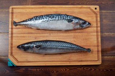 Ahşap plaka üzerinde iki mackerels