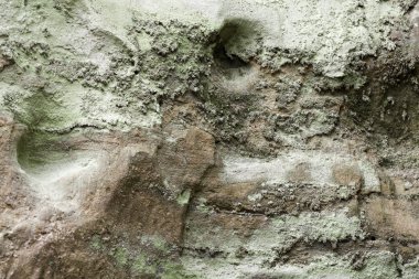 Eski dünyanın doku