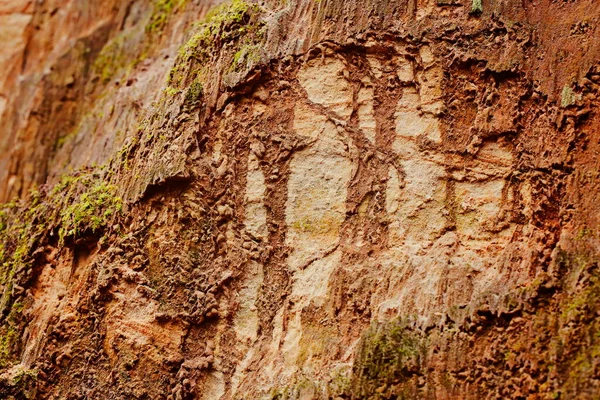 Mağaranın Yakınındaki Bakir Kumlu Toprağın Dokusu — Stok fotoğraf