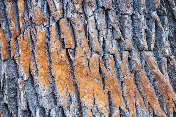 Kahverengi Kabartmalı Ahşap Doku — Stok fotoğraf