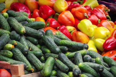 Bir yığın dolma biber ve orta boy salatalık.