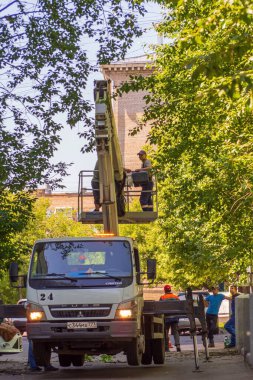 Dalları ve ağaçları budamak için servis. İşçiler kavak ve diğer ağaçların dallarını kesip çıkarıyorlar..