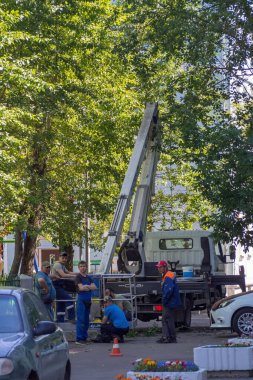 Dalları ve ağaçları budamak için servis. İşçiler kavak ve diğer ağaçların dallarını kesip çıkarıyorlar..