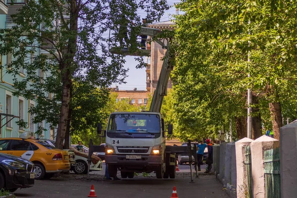Dalları ve ağaçları budamak için servis. İşçiler kavak ve diğer ağaçların dallarını kesip çıkarıyorlar..
