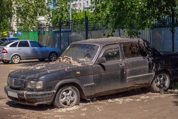 Retro Auto Gaz Een Soort Wolga Populier Pluis — Stockfoto