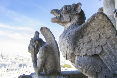 Notre Dame de Paris çatısı çirkin yaratık ve şehir görünümünden