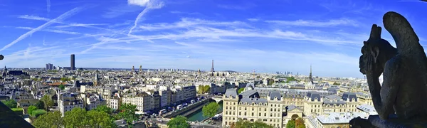 Notre Dame de Paris çatısı çirkin yaratık ve şehir görünümünden