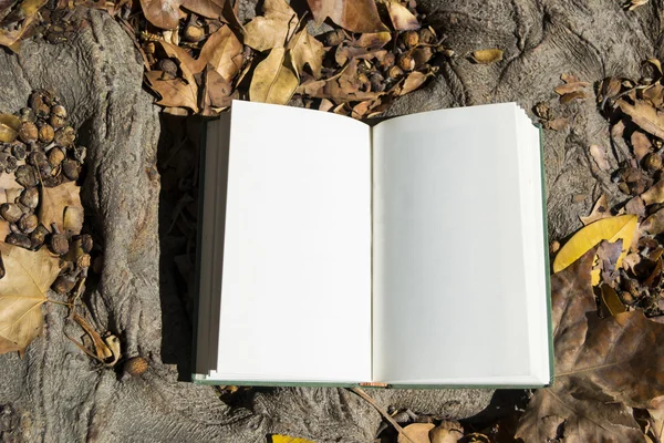 Sonbaharda açık bir kitap