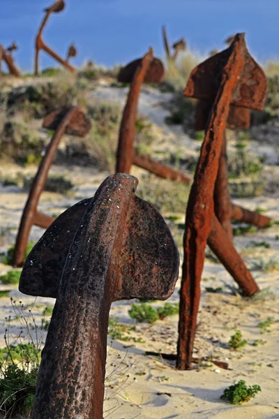 Anchors on the beach in Portugal — Stock Photo, Image