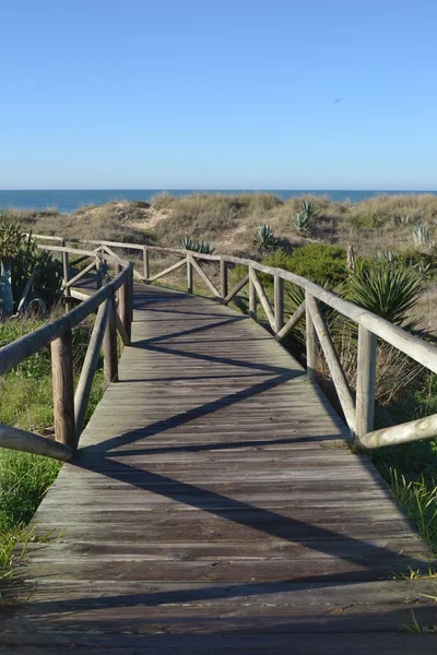 Estrada para a praia — Fotografia de Stock