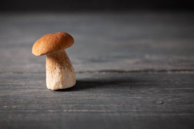 Porcini ya da ahşap masada beyaz mantar. Kırsal biçim.