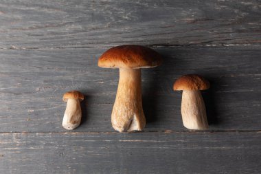 Tahta masada üç porcini ya da beyaz mantar. Düz yatıyordu. Üst görünüm.