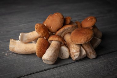 Porcini ya da ahşap masa üzerindeki beyaz mantarlar kırsal tarzda..