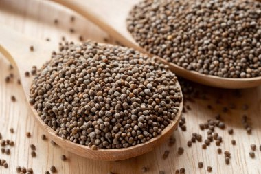 Tahta kaşıkta yakın plan Perilla tohumları hem tohum hem de yaprakla yenilebilen tahıllardır. Tayland 'ın kuzey kesiminde bulunur..