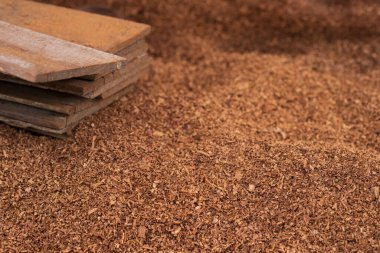 Ahşap süslemeden kaynaklanan kahverengi talaş yığınları..