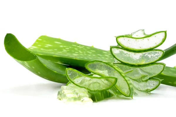 Aloe Vera Або Star Cactus Aloe Vera Burm Білому Тлі — стокове фото