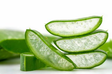 Yakın plan aloe vera ya da Yıldız kaktüsü (Aloe vera (L.) Burm) Beyaz bir arka planda. Derinin tedavisinde kullanılan bitkiler..