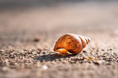 Beton zeminde yarı saydam ışık var..