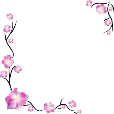 Çerçeve üzerinde beyaz izole kiraz ağacı çiçek